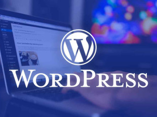 WordPress Kullanmanın Faydaları