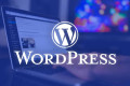 WordPress Kullanmanın Faydaları